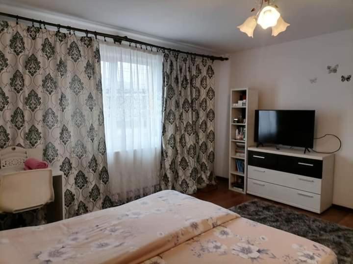 Pensiunea Brezu Sighetu Marmaţiei Exterior foto